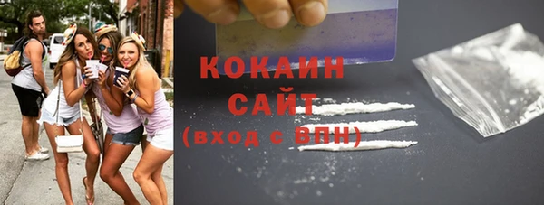 прущие грибы Абаза