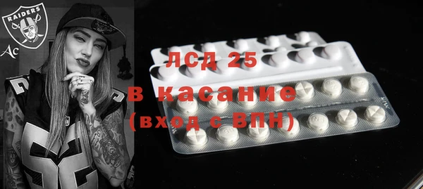 прущие грибы Абаза