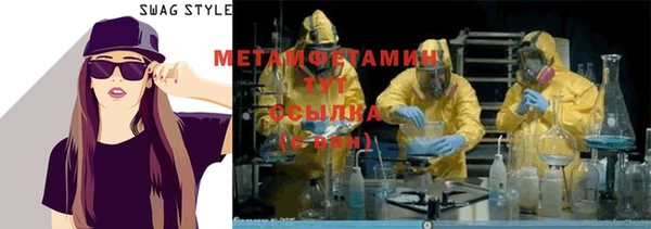 прущие грибы Абаза
