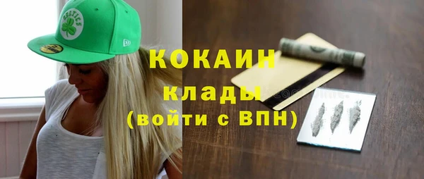 прущие грибы Абаза