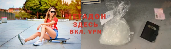 прущие грибы Абаза