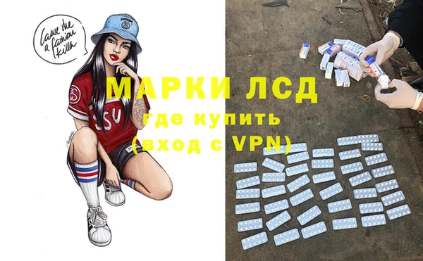 прущие грибы Абаза