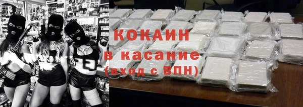 прущие грибы Абаза