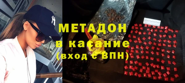 прущие грибы Абаза
