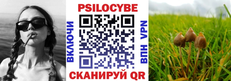 Псилоцибиновые грибы Magic Shrooms  как найти   Петров Вал 